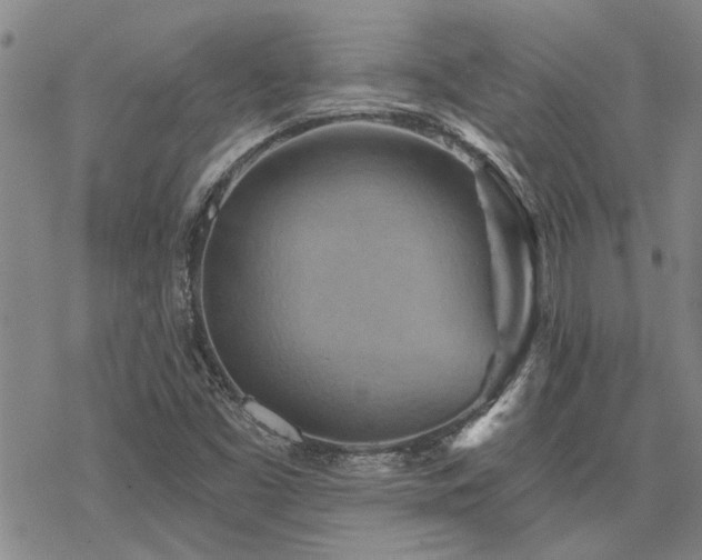 X0000068821453200605051158