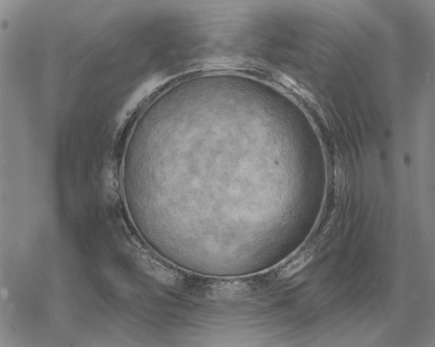 X0000068821454200605051158