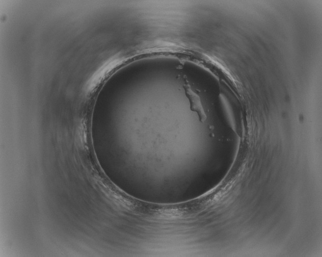 X0000068821455200605051158