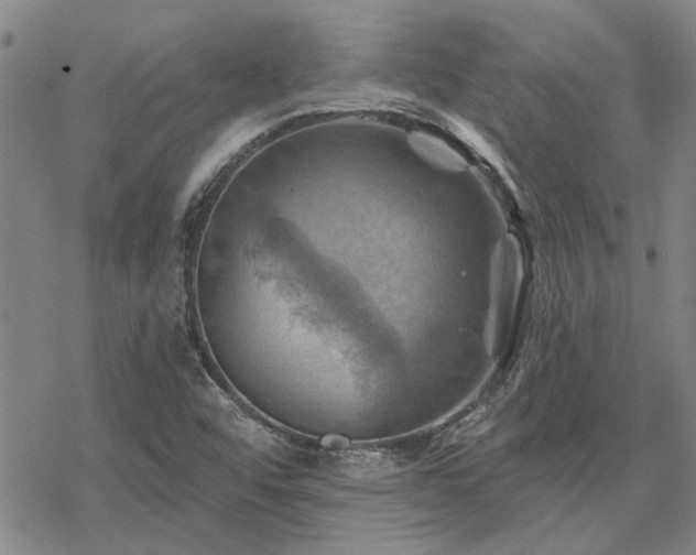 X0000068821456200605051158