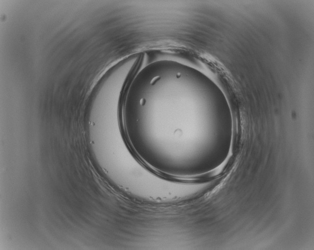 X0000068821457200605051158