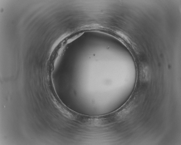 X0000068821458200605051158