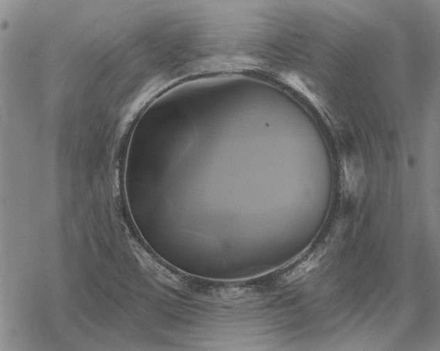 X0000068821459200605051158