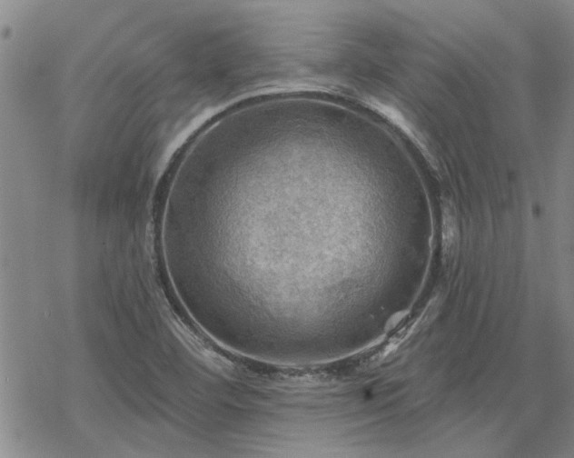 X0000068821460200605051158