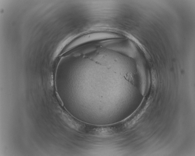 X0000068821461200605051158