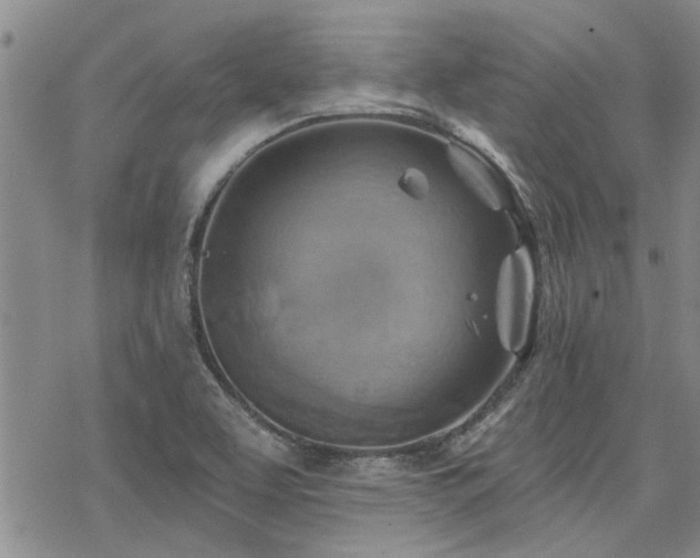 X0000068821463200605051158