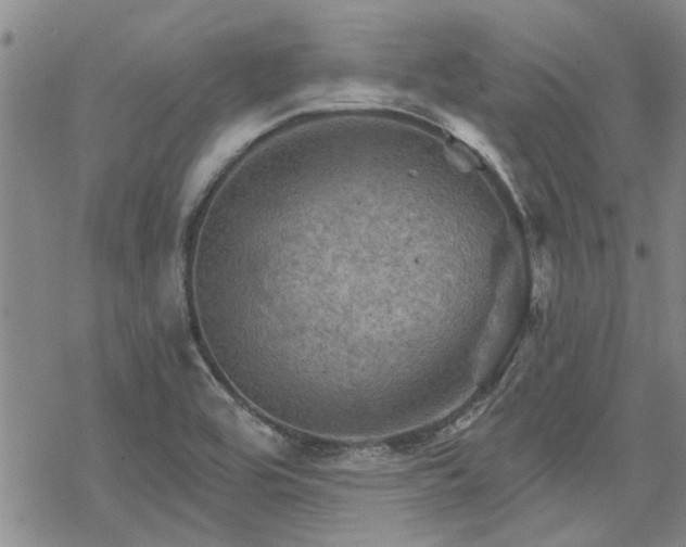 X0000068821464200605051158