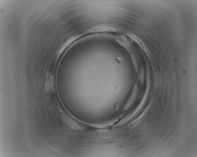 X0000068821465200605051158