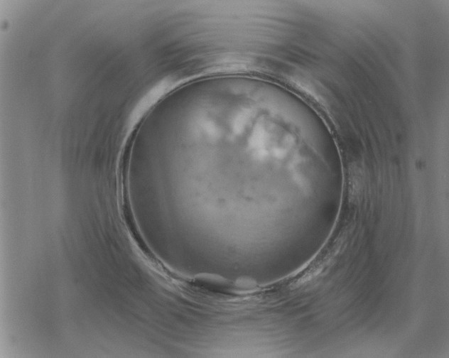 X0000068821467200605051158