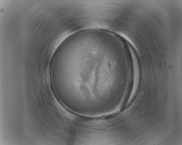 X0000068821468200605051158