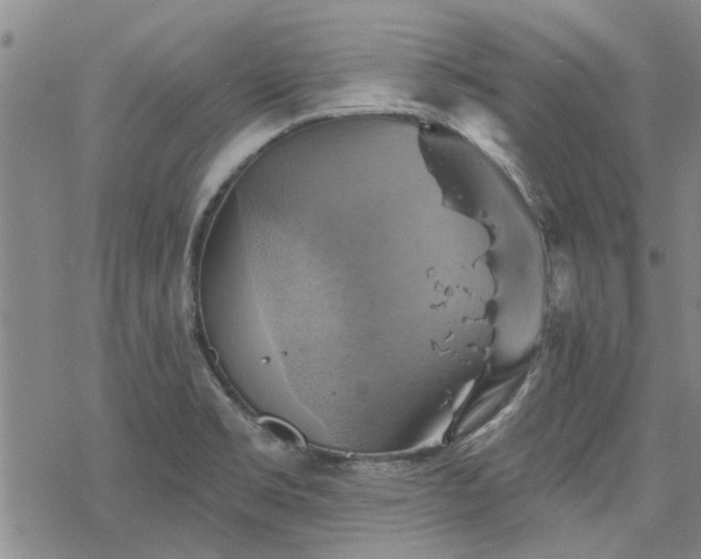 X0000068821469200605051158