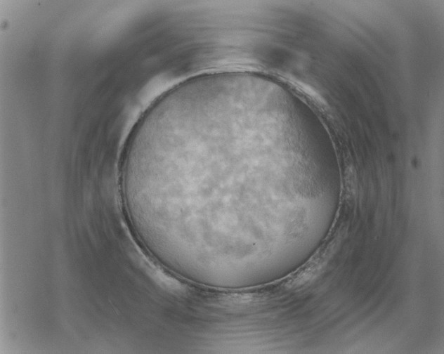 X0000068821470200605051158