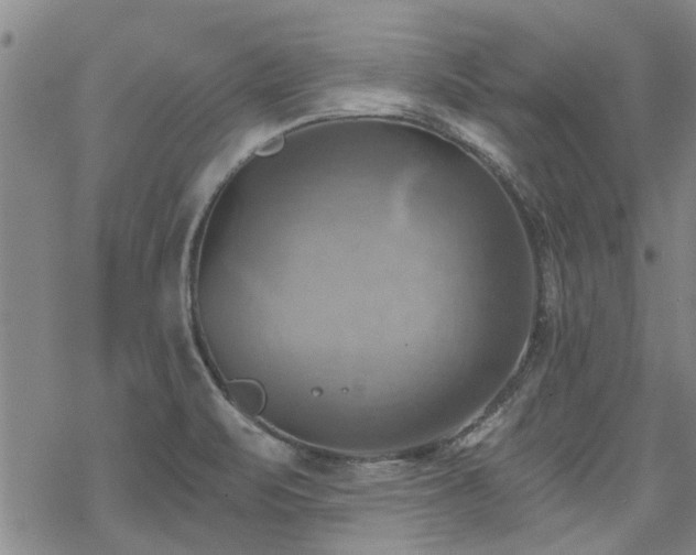 X0000068821471200605051158