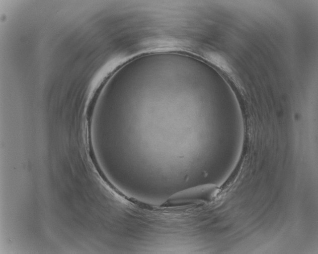 X0000068821472200605051158