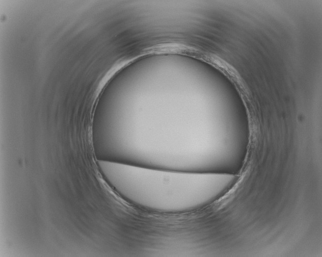 X0000068821473200605051158