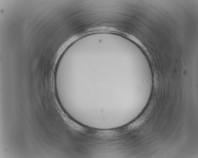 X0000068821474200605051158