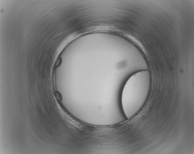 X0000068821475200605051158