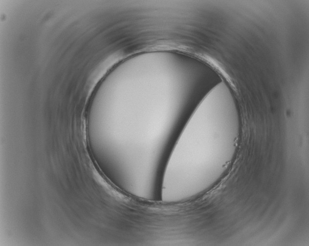 X0000068821476200605051158