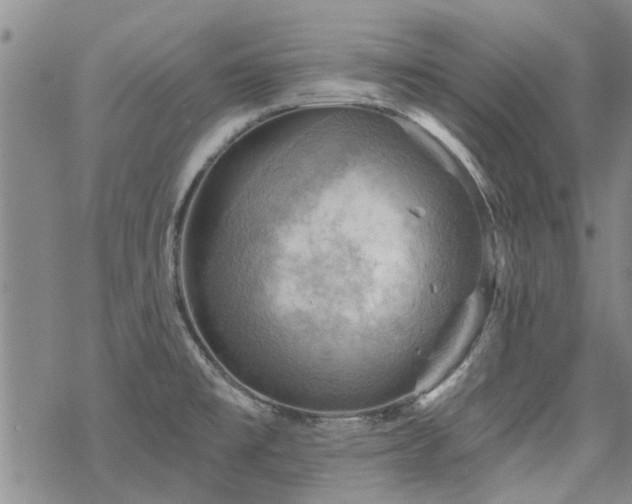 X0000068821477200605051158