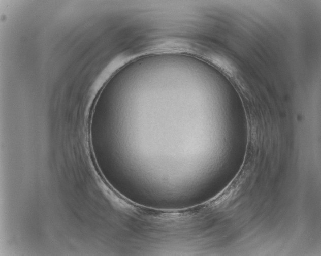 X0000068821478200605051158