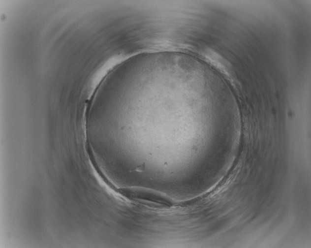 X0000068821479200605051158