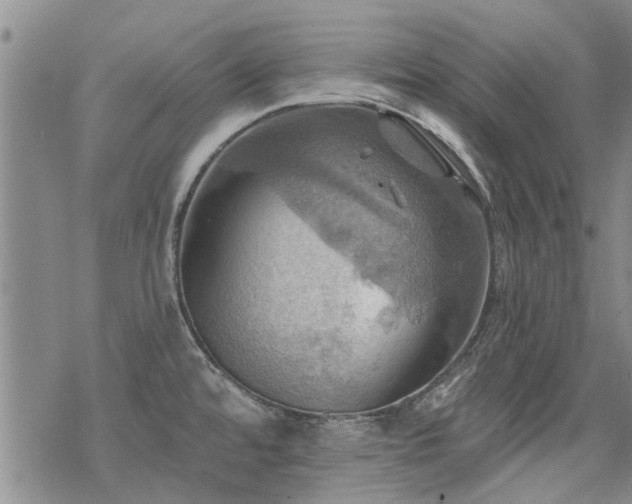 X0000068821480200605051158