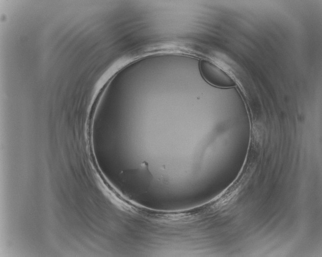 X0000068821482200605051158