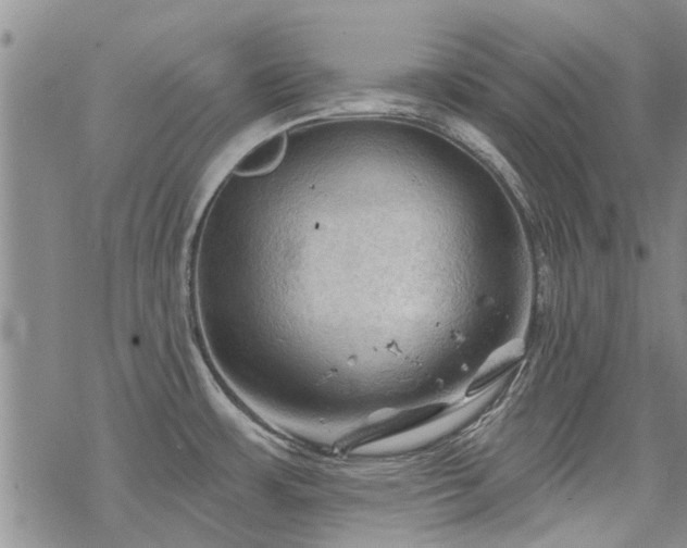 X0000068821483200605051158