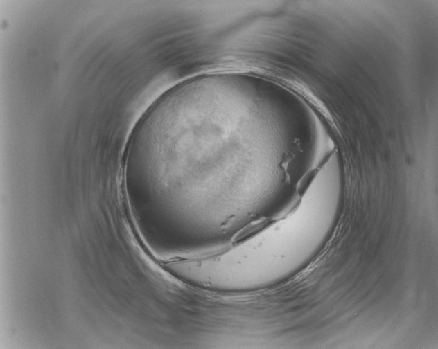 X0000068821484200605051158