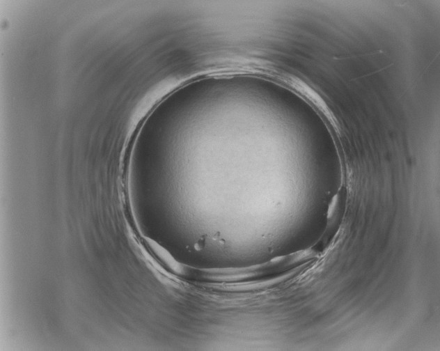 X0000068821485200605051158