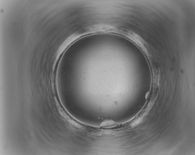 X0000068821486200605051158