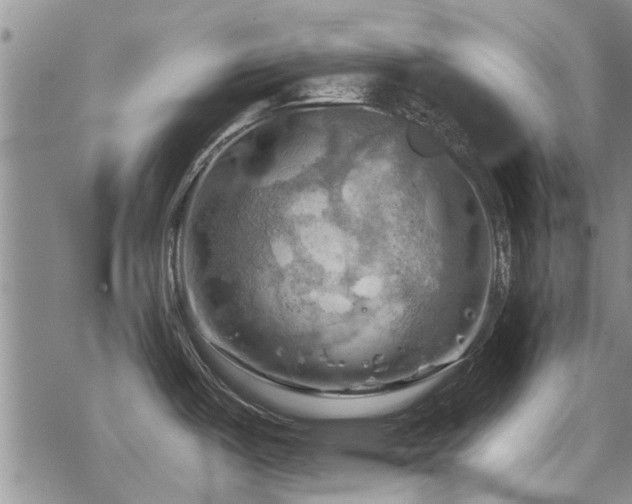 X0000068821487200605051158