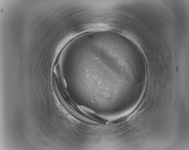 X0000068821488200605051158