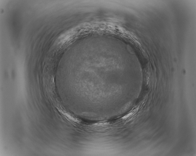 X0000068821489200605051157