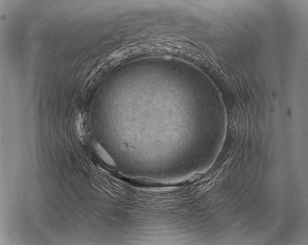 X0000068821490200605051157