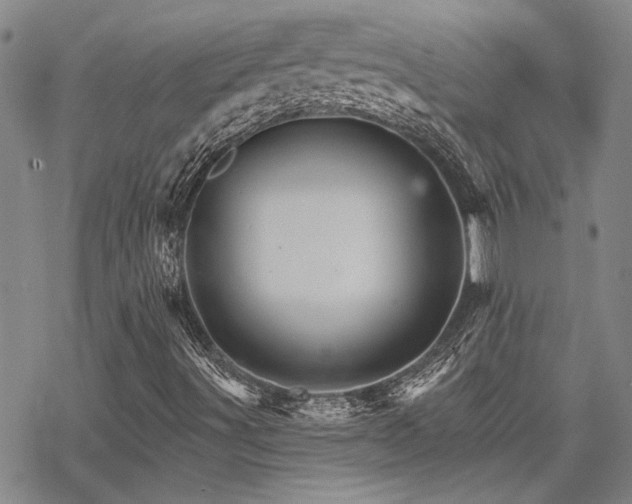 X0000068821491200605051157