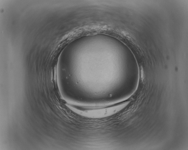 X0000068821492200605051157