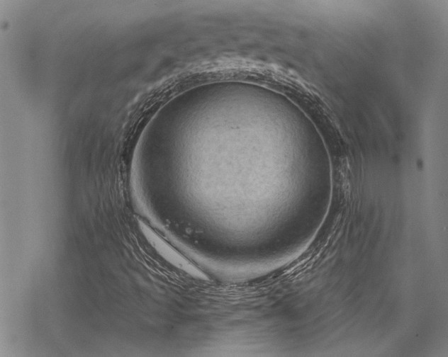 X0000068821493200605051157