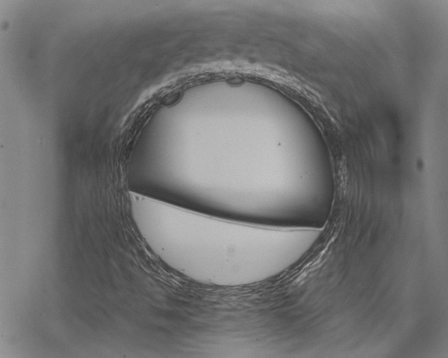 X0000068821494200605051157