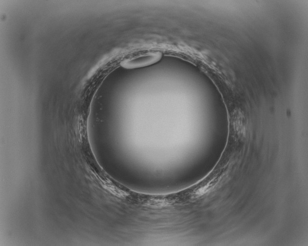 X0000068821495200605051157