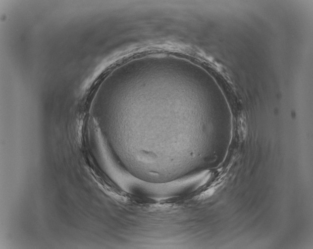 X0000068821496200605051157