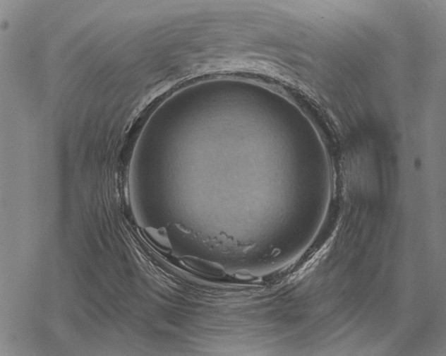 X0000068821497200605051157