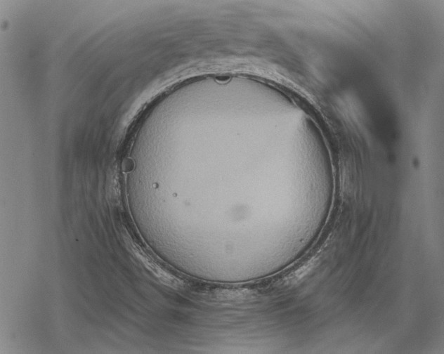 X0000068821498200605051157