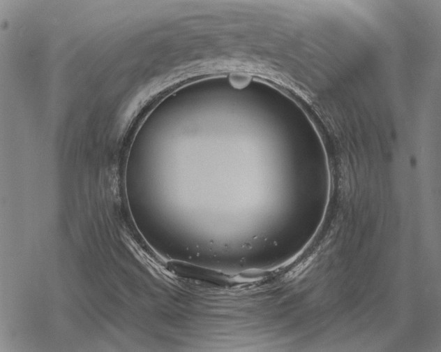 X0000068821499200605051157