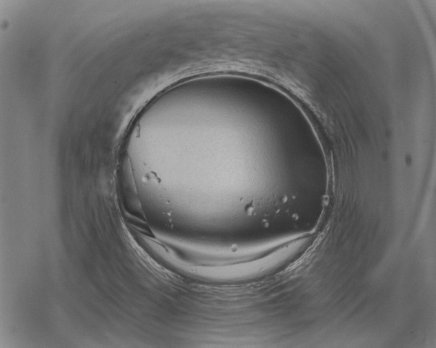 X0000068821500200605051157