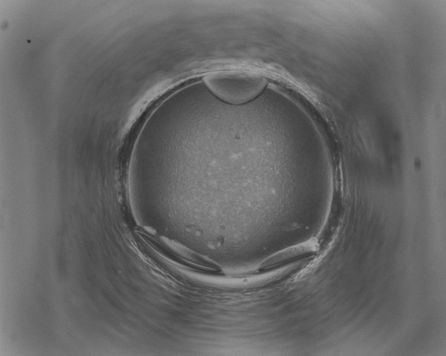 X0000068821501200605051157