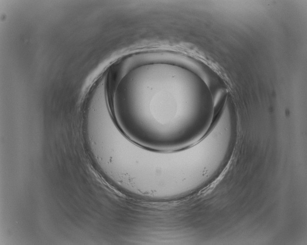 X0000068821502200605051157