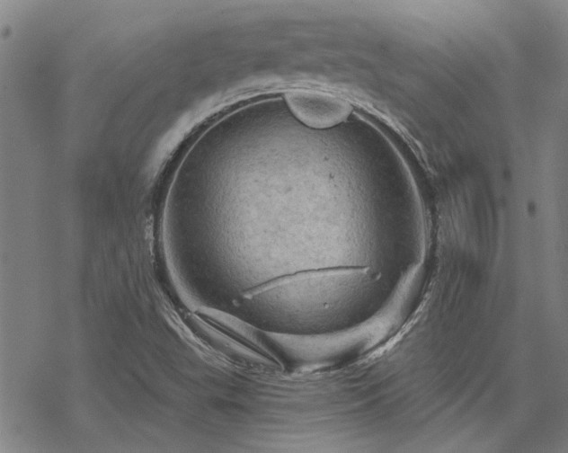 X0000068821503200605051157