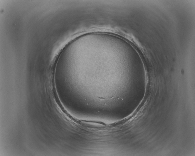 X0000068821504200605051157