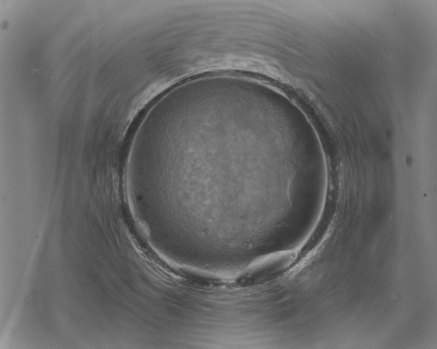 X0000068821505200605051157